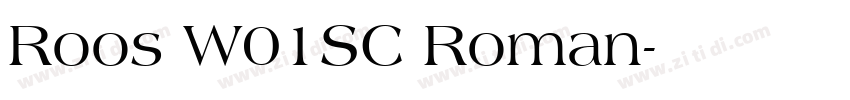 Roos W01SC Roman字体转换